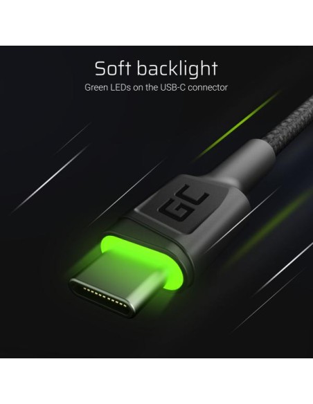 CABLE RAY ULTRA CHARGE