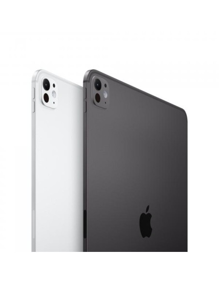 IPAD PRO 13 WIFI 1TB SILVER NT