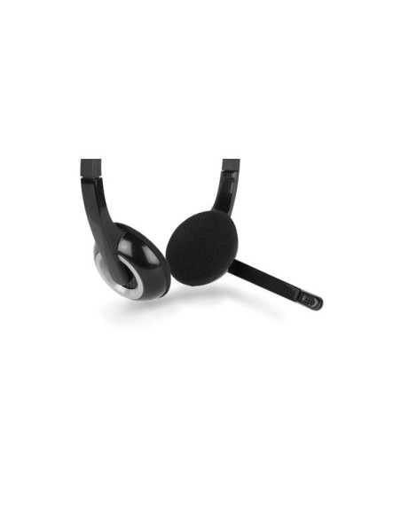 CUFFIA CON MIC - 2X 3.5