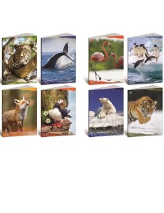 CF10 QUADERNO ANIMALI 100G A4 4F