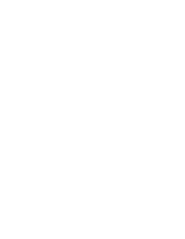 Veerubber VRM119C - 130/90-10 TL 70L