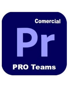 PREMIER PRO TEAMS ML NEW GOV