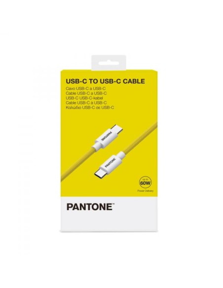 PANTONE USB-C TO USB-C CABLE 60W YW