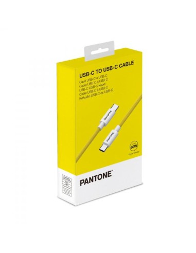PANTONE USB-C TO USB-C CABLE 60W YW