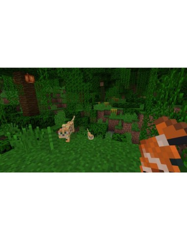 Switch Minecraft