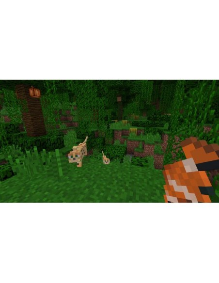 Switch Minecraft