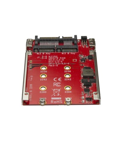 ADATTATORE PER 2 SSD M.2 A SATA PE