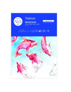 BLOCCHI DISEGNO TALENTO 300G 2