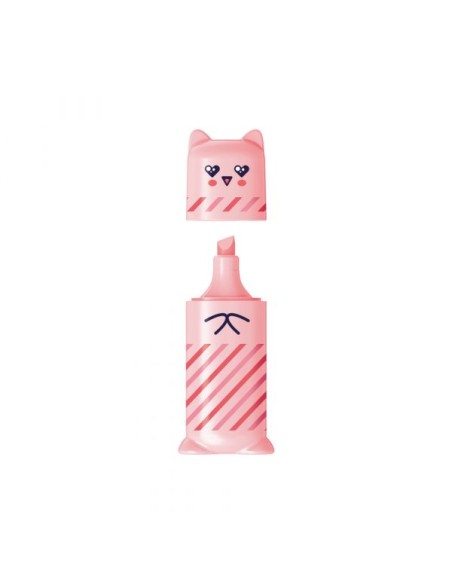 CF4 EVID. MINI PASTEL POCKET X4