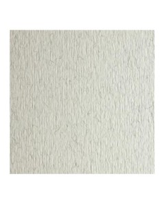CF10 LR BRINA-70X100
