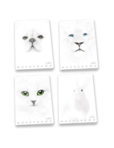CF10 MAXIMONOCROMO WHITE 4M A4 100G