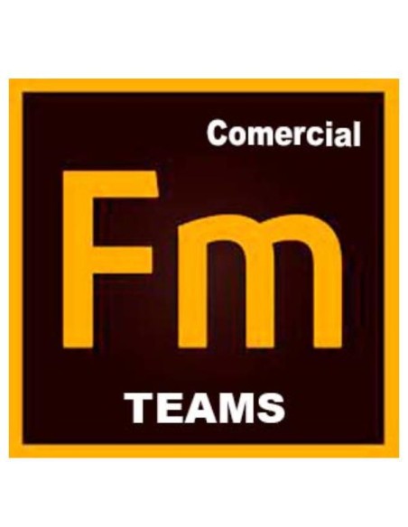FRAMEMAKER TEAMS ML NEW GOV