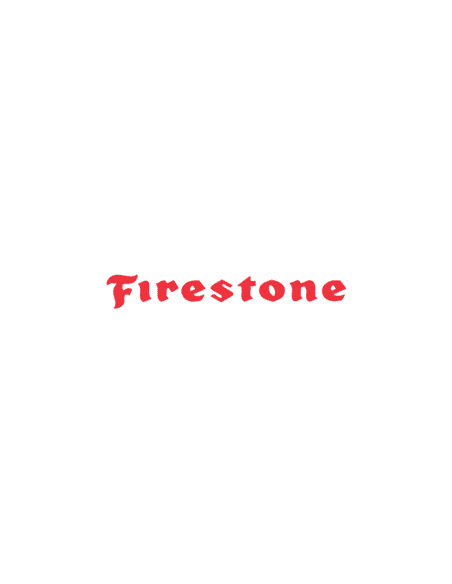 Firestone Winterhawk 4 - 255/35 R19 96V XL EVc