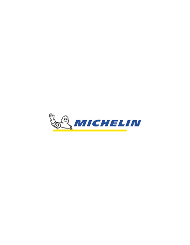 Michelin E Primacy - 215/55 R16 93V EV