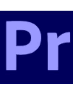 PREMIERPRO TEAMS ML SUB R GOV