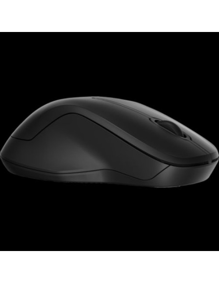 HP 255 DUAL WIRELESS E BT MOUSE