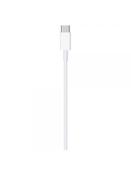 APPLE CAVO USB-C A LIGHTNING (1M) 10/21