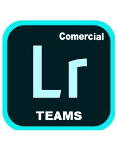 LIGHTR CLASS TEAMS ML NEW GOV