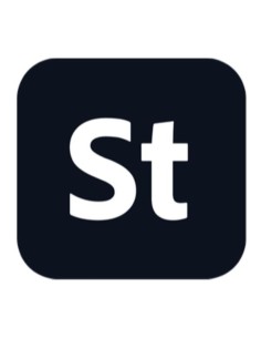 STOCKTEAMS LARGE ML SUB N