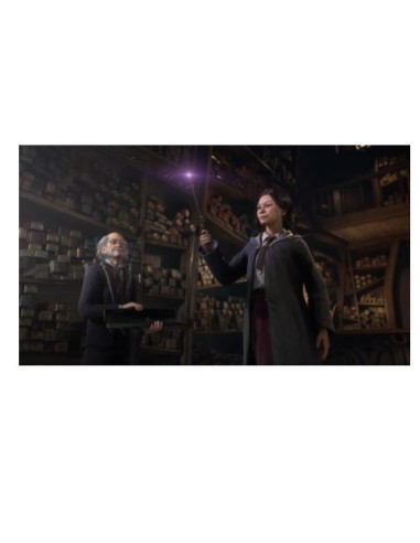 HOGWARTS LEGACY SWITCH