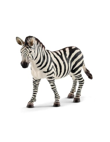 FEMMINA DI ZEBRA