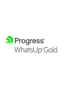 WHATSUP GOLD PREMIUM 100 UPGRADE