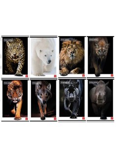 Maxiquaderno Animal - A4 - 1 rigo - 42 fogli - 80 gr - Pigna