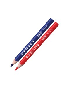 Matita colorata Evolution Triangle - colori assortiti - Bic - conf. 12 pezzi 2
