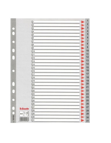 Separatore numerico 1/31 - PPL - A4 - grigio - Esselte
