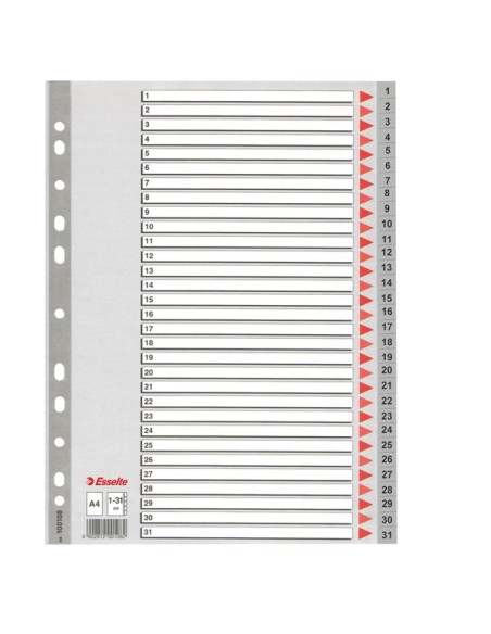Separatore numerico 1/31 - PPL - A4 - grigio - Esselte