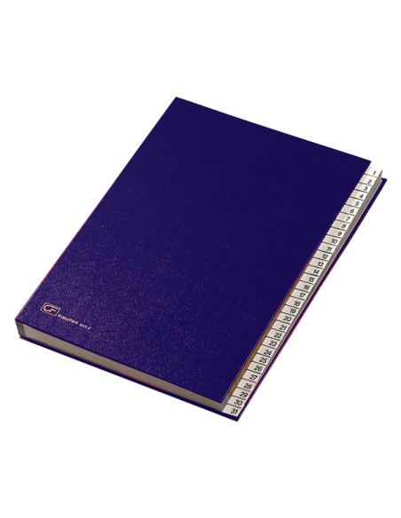 Classificatore numerico 1/31 - 643E - 24x34 cm - blu - Fraschini