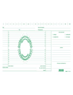 Schede in cartoncino per dentisti - 17 x 24 cm - verde - Edipro - conf. 100 pezzi