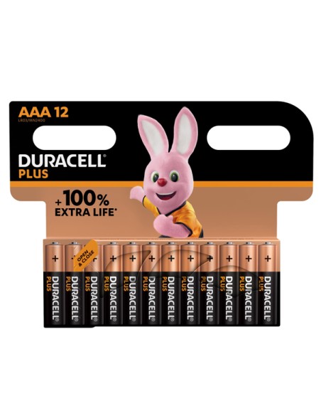 Pila MiniStilo AAA - Plus 100 - Duracell -  blister 12 pezzi