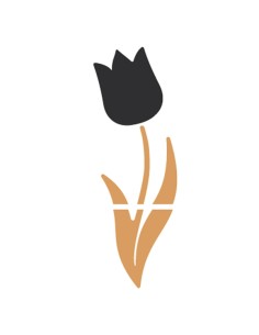 Mix lavagne da parete Tulip - Securit