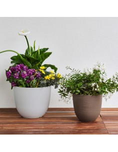 Vaso Over - 85 L - verde foresta - TeraPlast 2