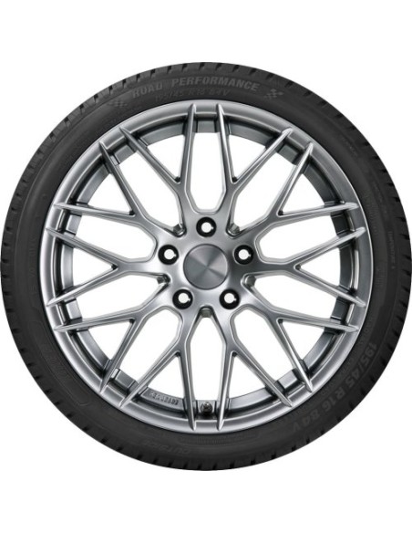 Riken Road Performance - 195/60 R15 88H