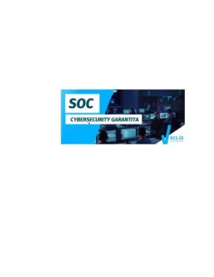 CYBSEC FL MNGD SOCH24 END D R 100DV