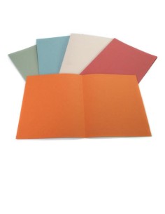 CF100 CARTELLINE SEMPL BLU 145 2