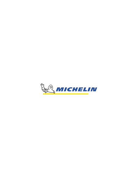 Michelin Primacy 4 - 195/65 R15 91V