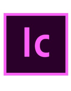 INCOPY ENT ML SUB R