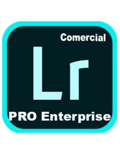 LIGHTR ED4 ENT ML NEW COM