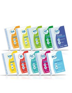 RICAMBI A4 RIGHE 4F 40FF 100GR 2