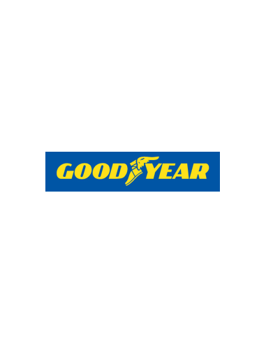 Goodyear EfficientGrip Performance - 185/55 R15 82V EVR