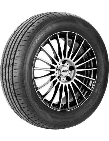 Infinity ECOSIS - 205/65 R16 95H