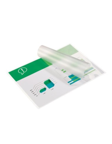 CF100 POUCHES A4 100MY