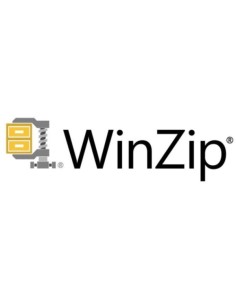 WINZIP 29 +1YR CORELSURE (2-49)