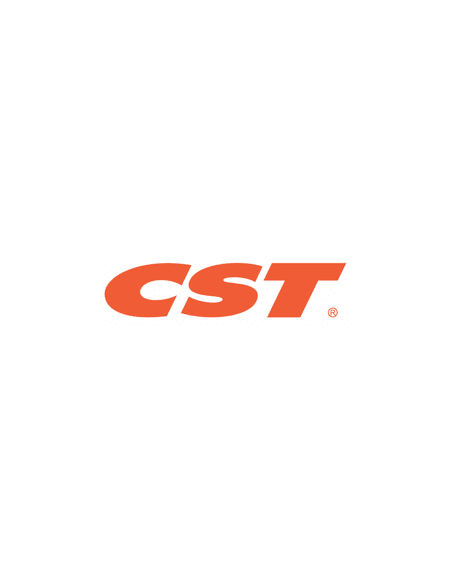 Cst C-800 - 3.00-10 TT 42J