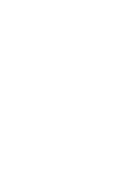 Veerubber VRM099 - 2.00-17 RF TL 33J ruota anteriore