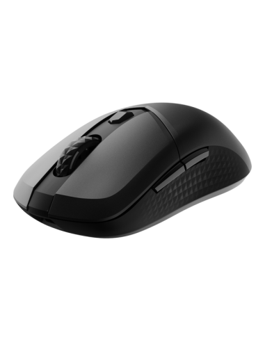 VERSA 300 W