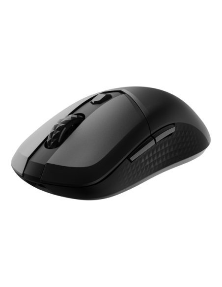 VERSA 300 W